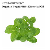 4-Pack Peppermint, Citrus, Beeswax & Lemonade Certified USDA Organic Lip Balm