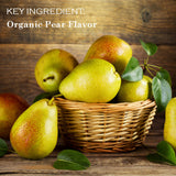 4-Pack Pear, Strawberry, Lemonade and Citrus Flavor Certified USDA Organic Lip Balm